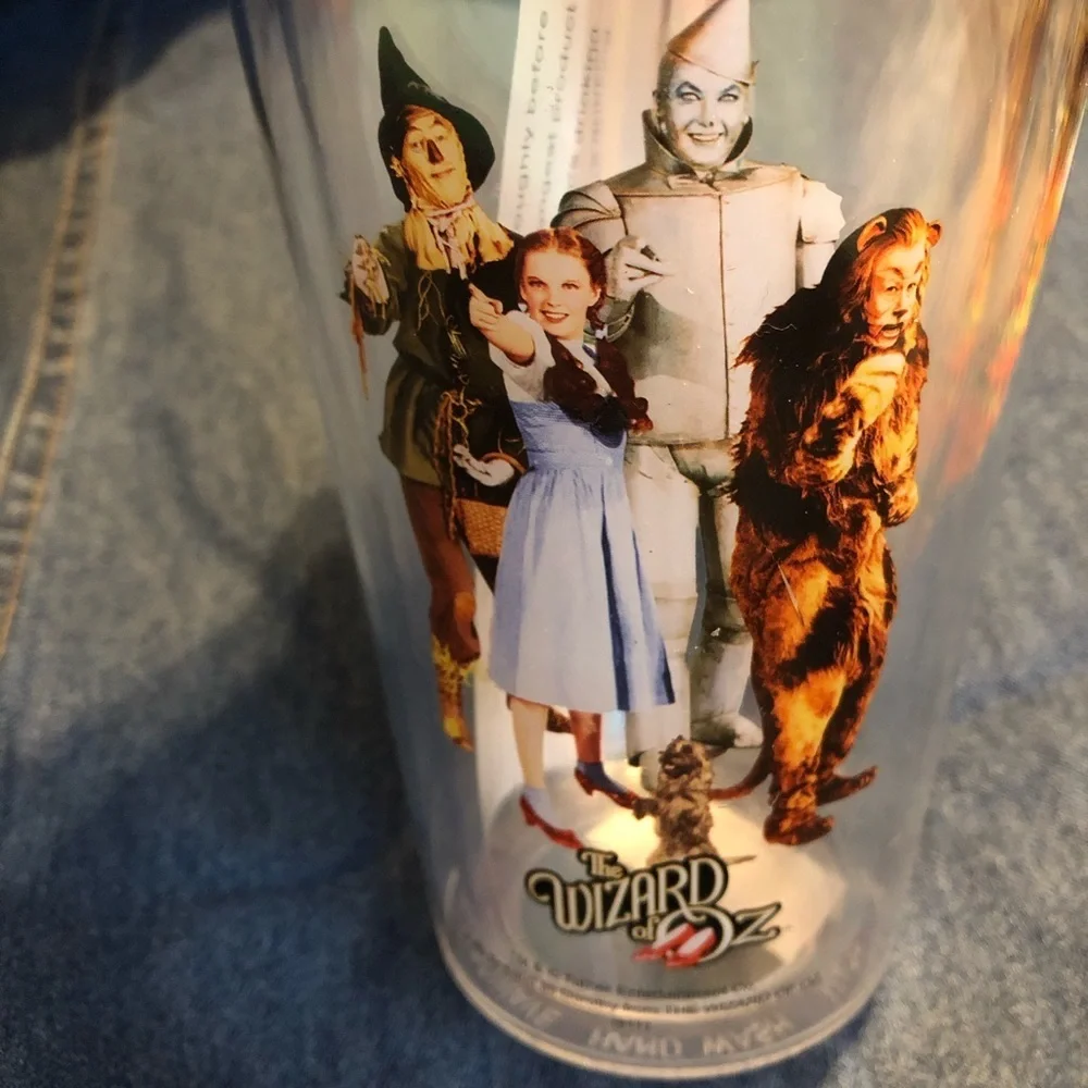 Wizard of Oz Clear Tumbler Insulated Cold Drink Cup With Straw Dorothy Tin Man